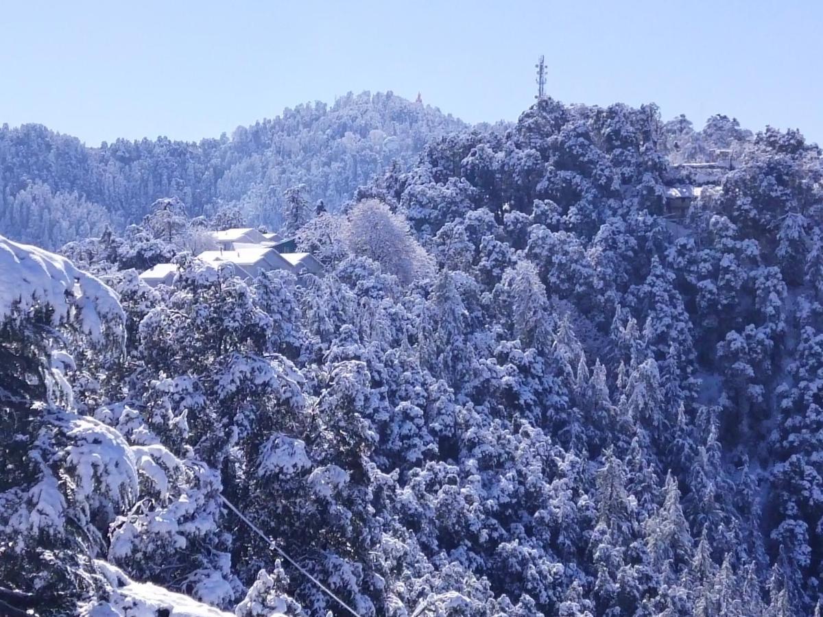Dhanlaxmi Apartments Shimla Dış mekan fotoğraf